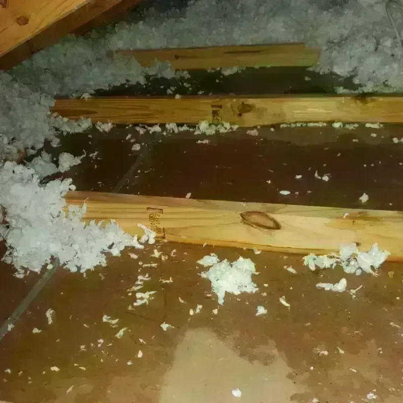 Attic Water Damage in Fayette, OH