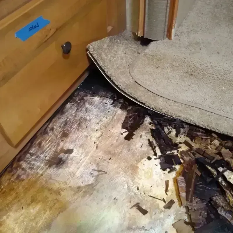 Best Wood Floor Water Damage Service in Fayette, OH